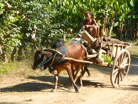 rencontre malgache nosy