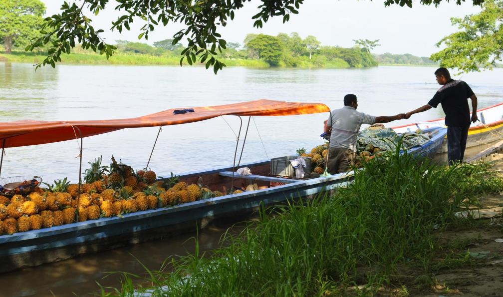 Image Charmes colombiens