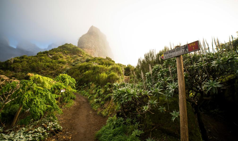hikerwise - Unsplash - Pancarte et sentier vers le Pico Ruivo, Madère, Portugal - Total Madère ! - 9