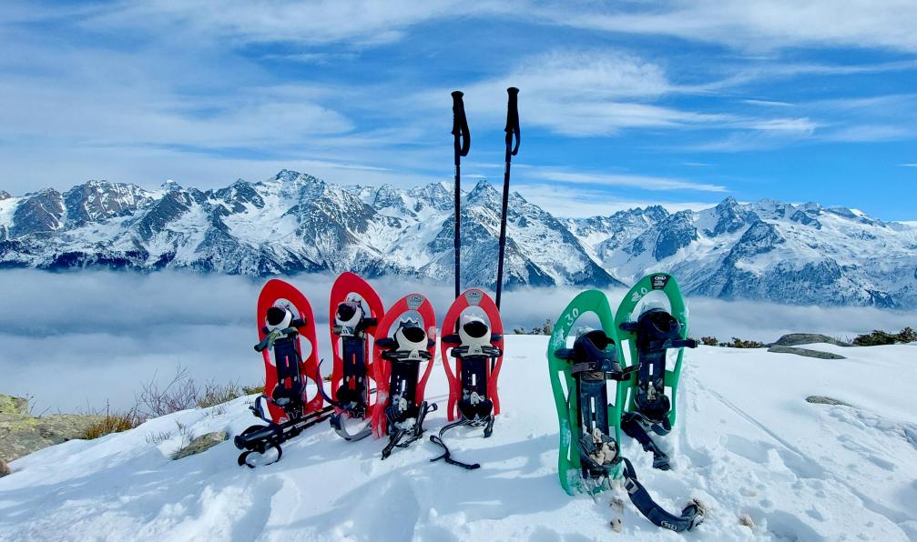 Rand'horizons - Raquettes plantées dan sa neige devant le massif des Belledonnes, Alpes, France - Le massif de Chartreuse à raquettes - 1