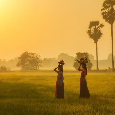 randonnée rizières bali