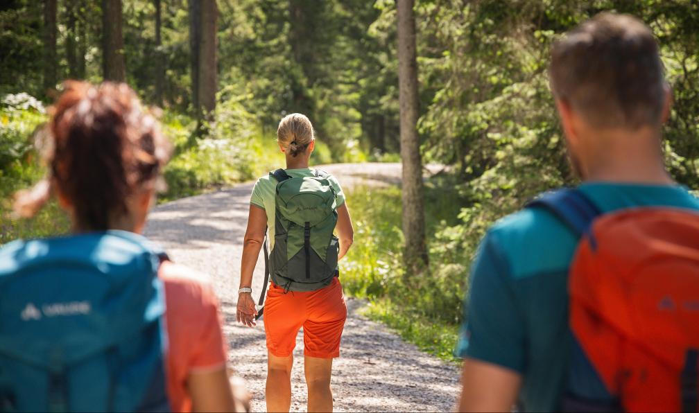 Eurohike - Randonneurs plongés dans les forêts bavaroises à l'ombre des chaleureuses journée d'été. - Des lacs bavarois à la Zugspitze - 2