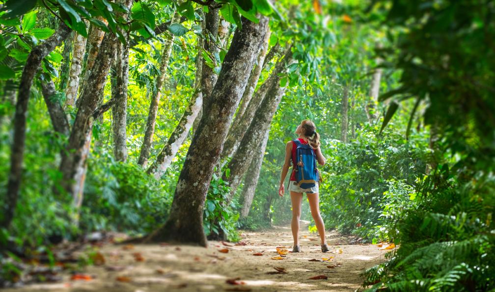 Trek - Costa Rica : Pura Vida Trek