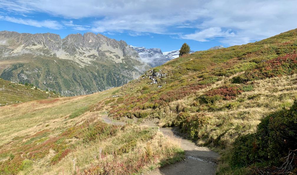 C.WILL - stock.adobe.com - Sentier du Tour du Mont Blanc (TMB) aux environs de l'aiguillette des Posettes, Alpes, France - De Chamonix à Zermatt, la version intégrale - 1