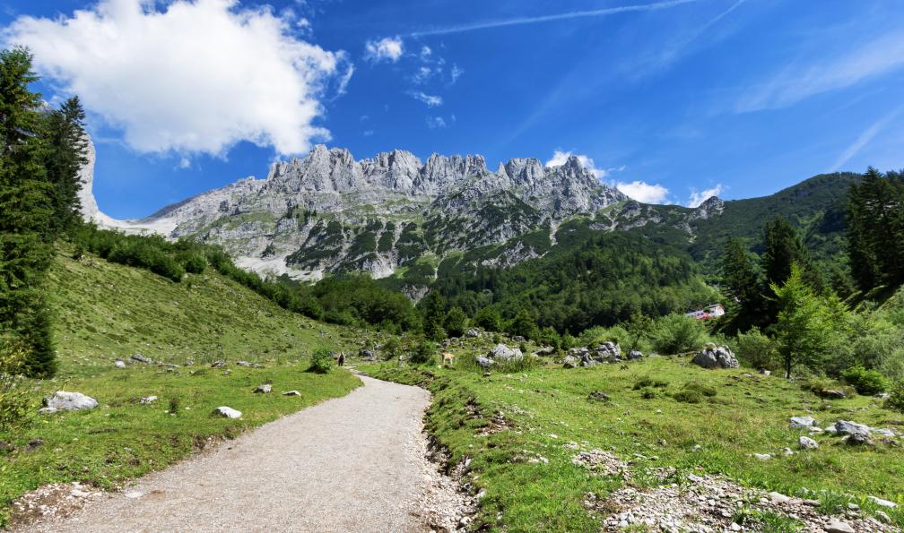 AnnaBreit -  Istock -  Chemin à travers les montagnes en été. Vue de Wilder Kaiser, l'Autriche - Tyrol : le tour de la chaîne de l'Empereur - 3