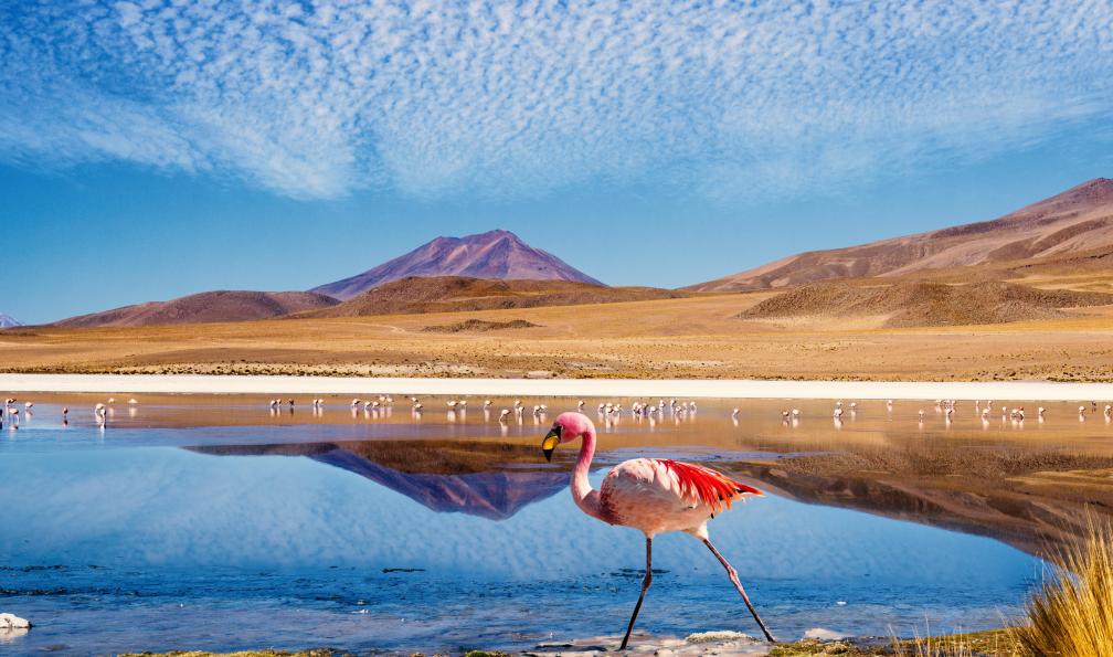 Image De lagune en salar