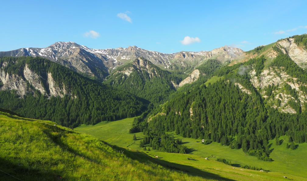 Lanau - Blandine - Vue sur les sommets depuis St Véran, Queyras, Alpes, France - Le Queyrassin - 4