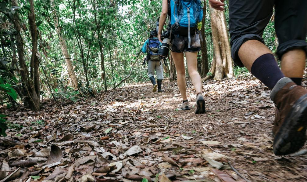Brain & Heart - Adobe stock - Randoneurs dans la jungle du costa Rica - Des montagnes du quetzal au Corcovado - 4
