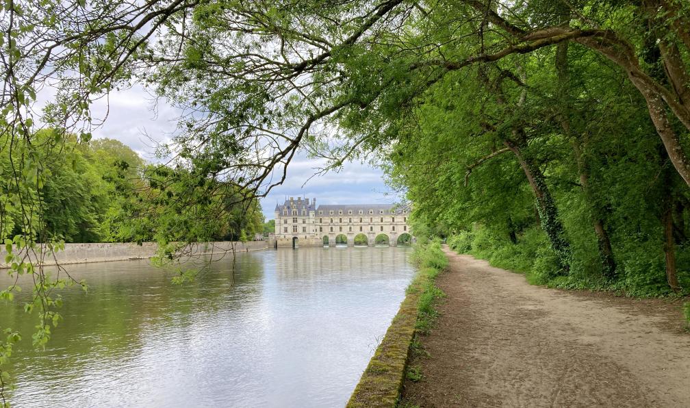Simonin - Marc - Allée menant au château de Chenonceau, Loire, France - L'essentiel des châteaux de la Loire à vélo - 5
