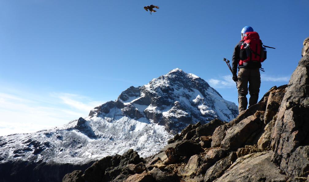 Randonneur, rapace, oiseau et sommet enneigé, Illiniza nord, Equateur. - L'Équateur au rythme des volcans - 1