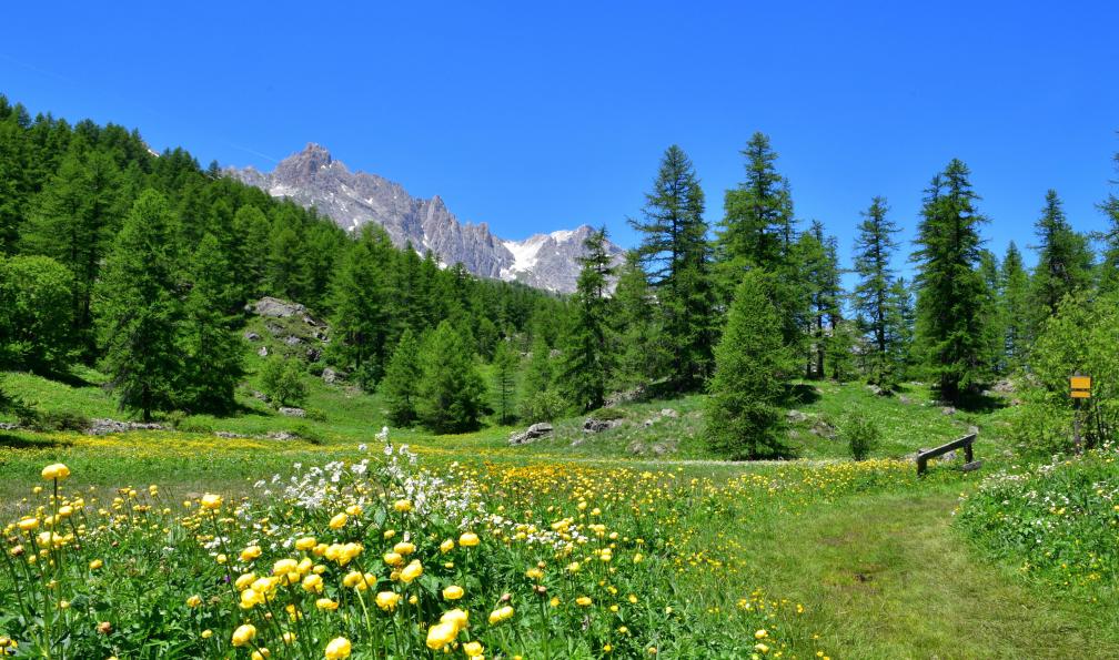 bobdu11 - Adobe stock - Sentier dans la vallée de Névache, Alpes, France - Micro aventure en Clarée - 8