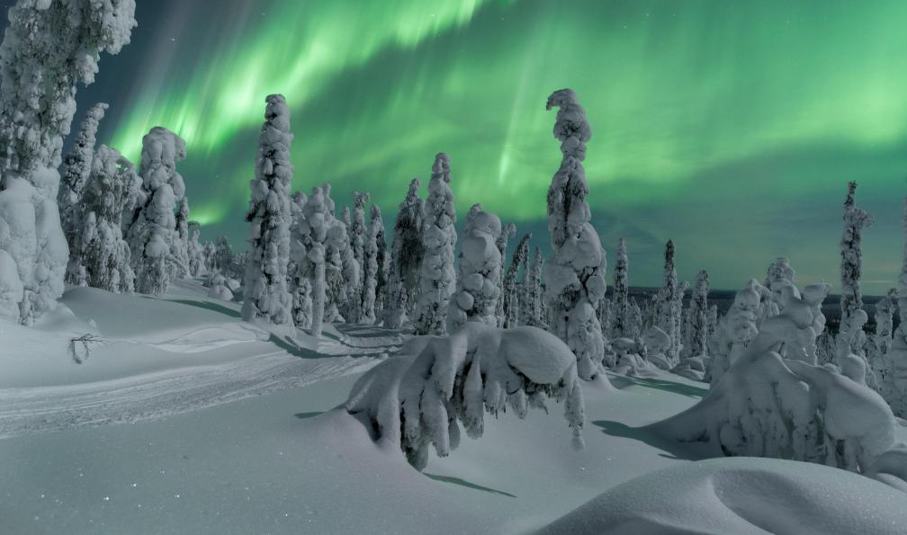 Thomas Kast -  Forêt enneigée et aurore boréale, Finlande - Aventures givrées en Laponie - 12