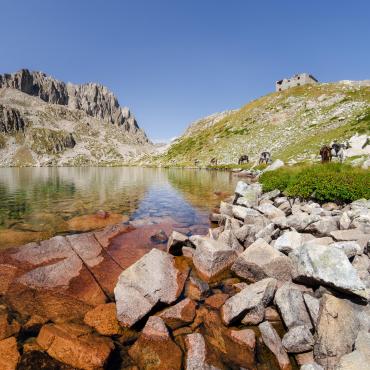 alpi marittime