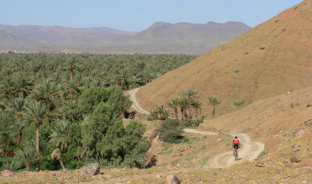 Atlas, palmeraies et dunes à vélo