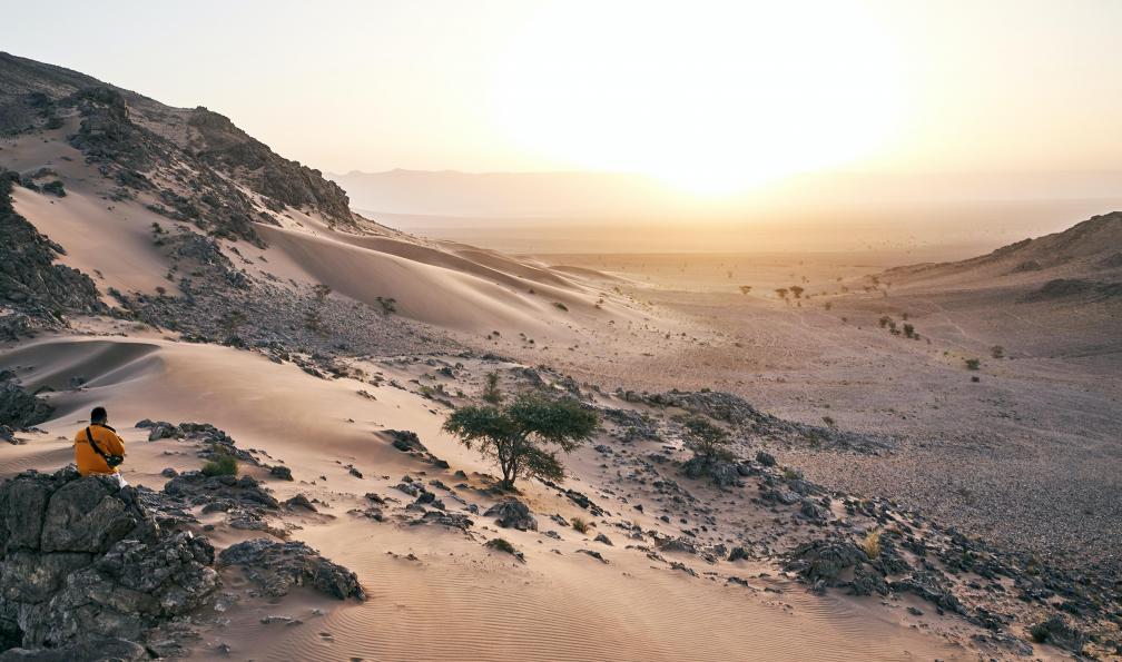 Stravinskaite - Gabriele - Randonneur admirant la vallée près de Zagora, Maroc - La caravane du désert depuis Marrakech - 3