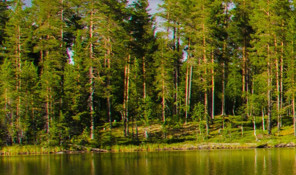 Dannhauer - Simon - Adobe Stock -  - Multi-activités en Norvège : objectif animaux - 2