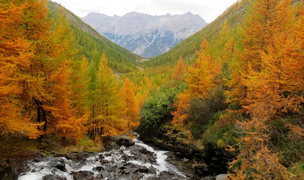 Lanau - Blandine - Cascade Narreyroux et végétation d'automne, Puy-St-Vincent, Hautes-Alpes,France - Queyras, l'été indien - 1