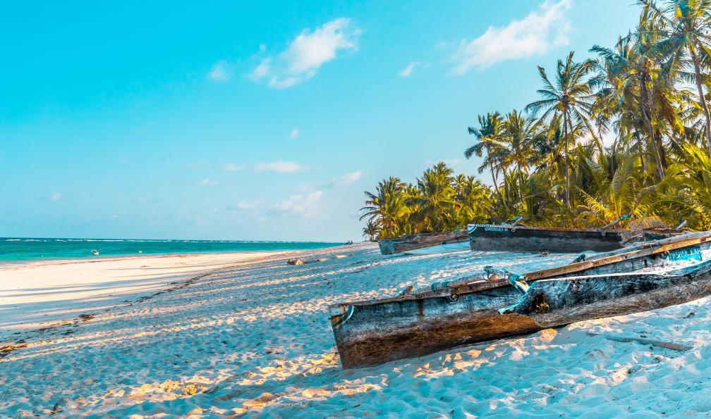 Safari kenyan et plages de sable blanc