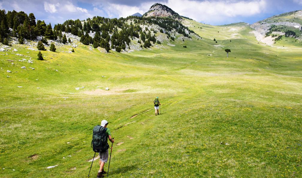 Steber  -  Joerg  -  Shutterstock -  Marcheur sur Les Hauts Plateaux du Vercors;France - Vercors, mont Aiguille et trésors du Diois - 1