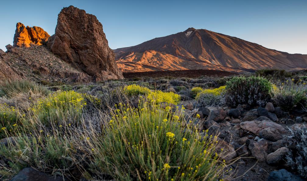 Trek - Espagne : Tenerife, l\'éternel printemps