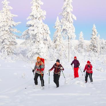 Voyage en raquette - Finlande : Ski de fond et nature au pays des Tunturis