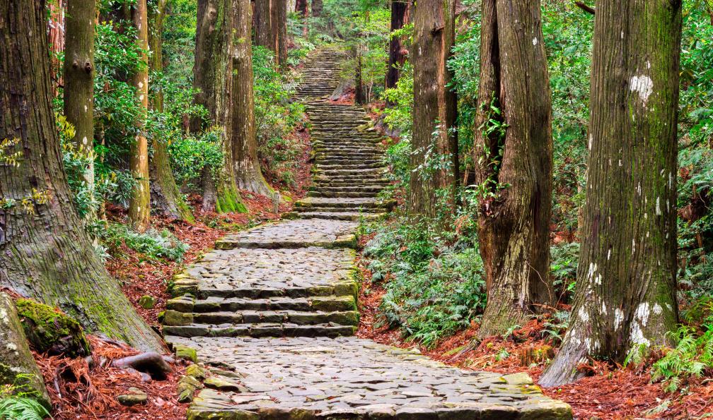 SeanPavonePhoto - Adobe Stock - Sentier ancien de Kumano Kodo à Nachi, Wakayama, Japon
 - Mont Fuji, Alpes japonaises & Kumano Kodo - 8