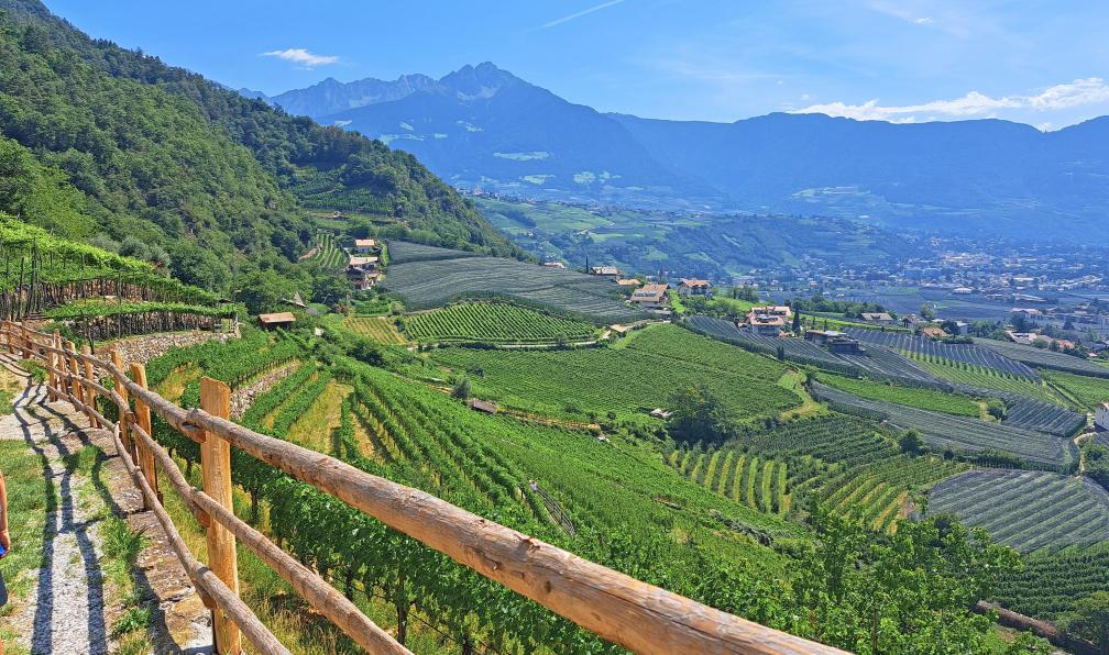 Eurofun - Panorama sur les vignes du Sud de l'Italie. - De la Bavière au Sud Tyrol - 9