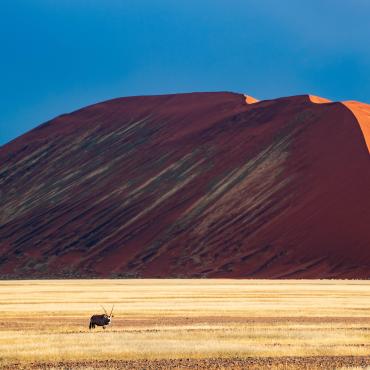 circuit namibie en lodge