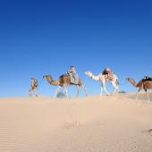tunisie en famille