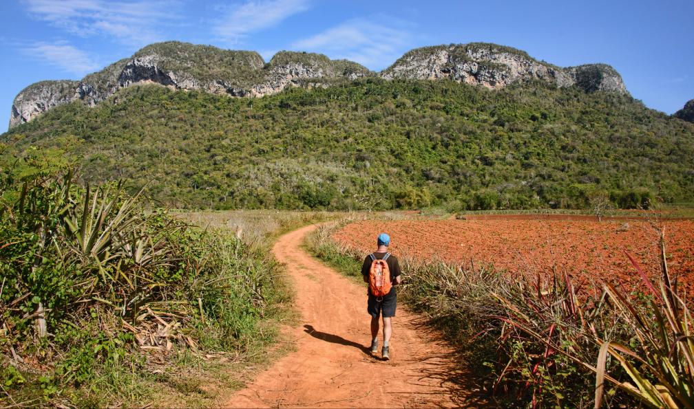 Raquelm - stock.adobe.com - Randonneur dans la vallée de Viñales et sa terre rouge, Cuba - Randonnées et merveilles cubaines - 2