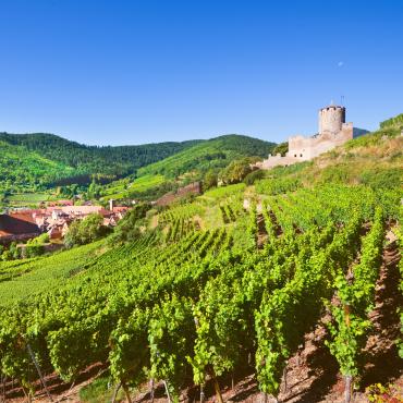randonnée alsace vosges