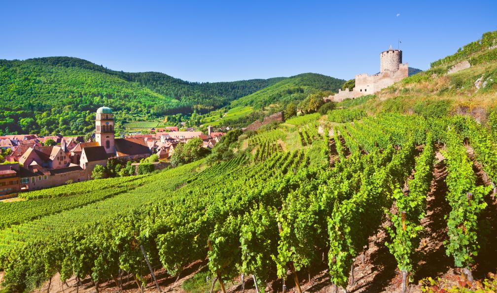 Trek - France : Trek alsacien, entre vignes et montagnes