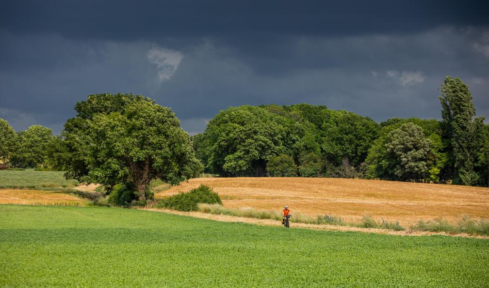 Grez - Nacho - Cycliste à vélo dans les champs en Provence, dans le Luberon - Les charmes du Luberon à vélo - 2