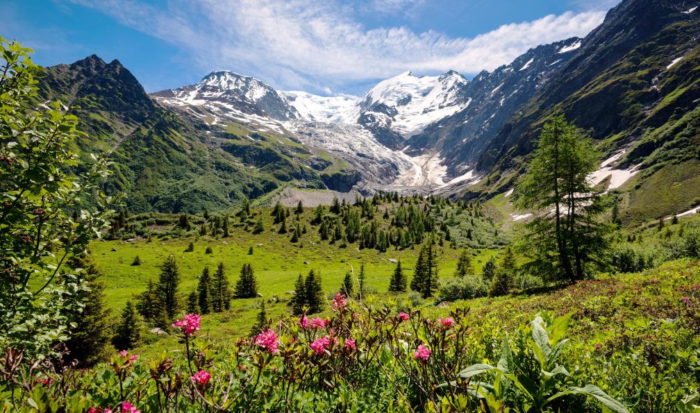 Kojin  -  Shutterstock -  panorama sur le massif depuis le sentier du trek du Mont-Blanc;France - Le grand tour du Mont-Blanc - 6