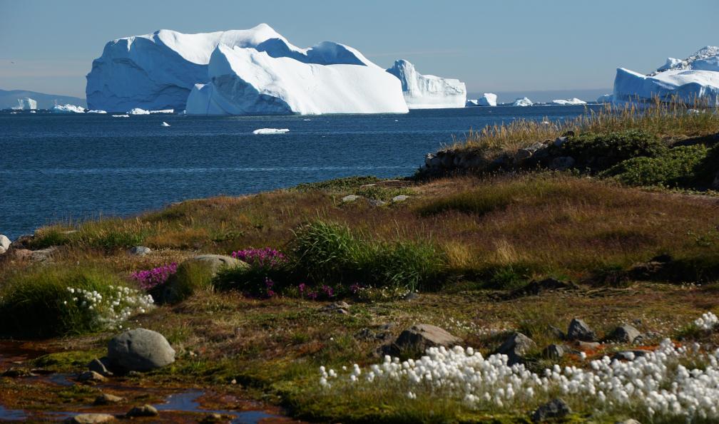 Adrien Marsaud -  Icebergs au Groenland - Glaciers et icebergs de la Baie de Disko  - 4