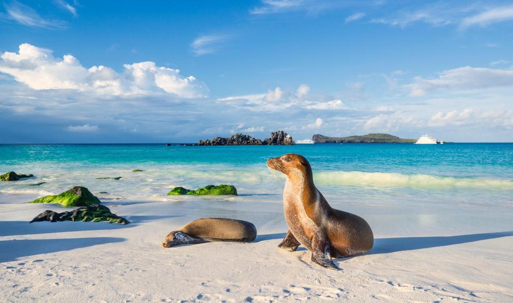 galapagos-circuit-decouverte-galapagos