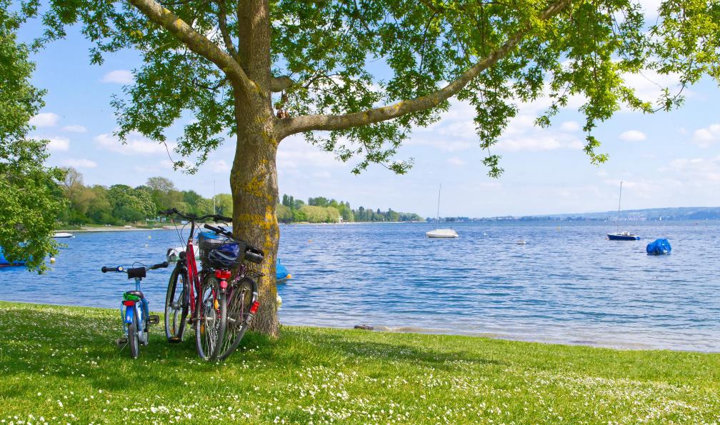 Fälchle - Jürgen  - stock.adobe.com - Vélos enfants et adultes sur les berges du lac de Constance - Les rives du lac de Constance à vélo en famille - 4