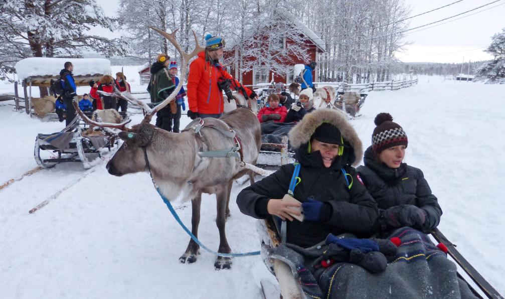 Passagers sur des traîneaux à chiens, ferme Torassieppi, Laponie, Finlande. - Mon chalet en Laponie - 6