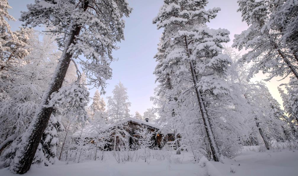 Raschetti - Christophe - Vue du chalet de Valkama dans la forêt enneigée, Laponie, Finlande - Aventures givrées en Laponie - 7