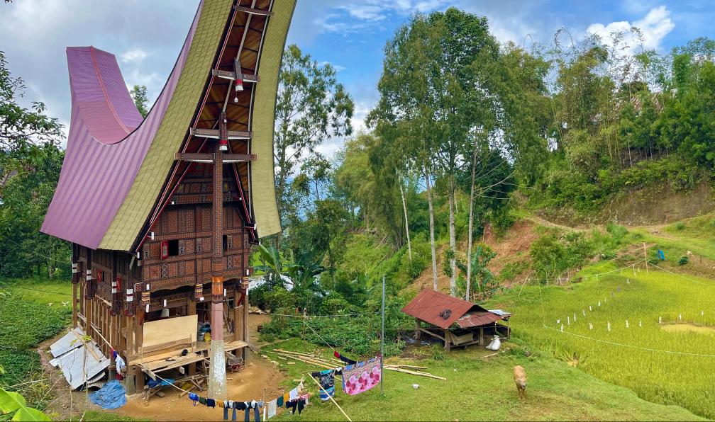 Spaini - Claire - a - Sulawesi : aventure au bout du monde - 4