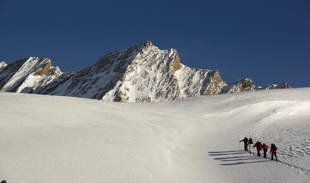 Dahu - Adobe stock - Randonneurs en raquette au col Vieux, Queyras, Alpes, France - Débuter le ski de rando dans le Queyras - 9