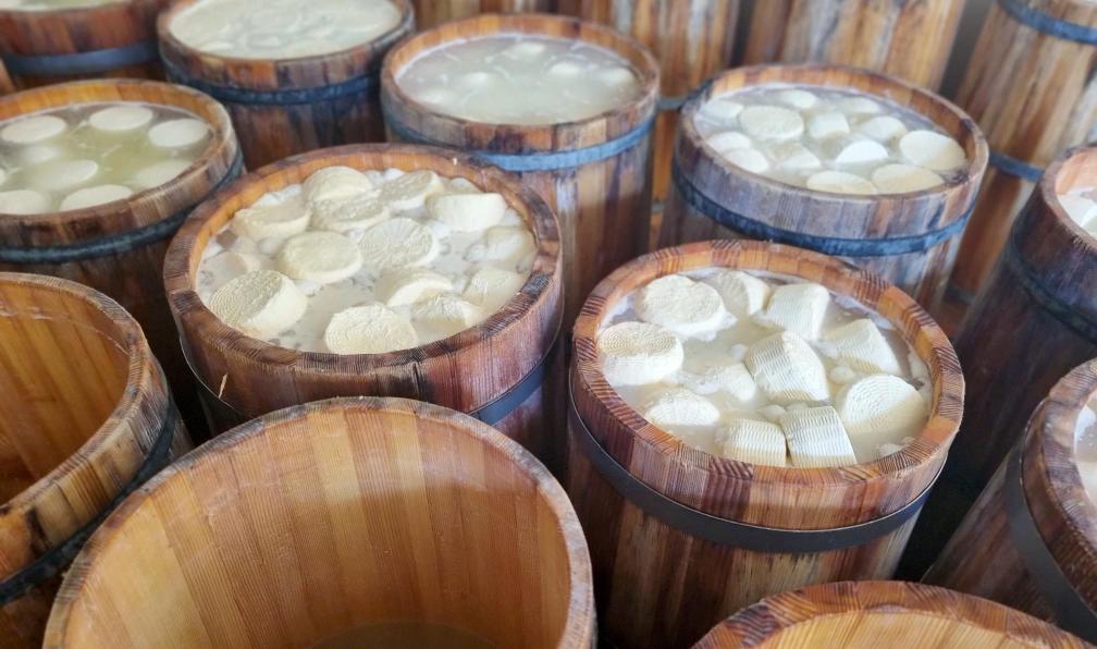 Davoine - Chloé - Fabrication du fromage traditionnel du nord de l'Albanie. - Balkan Trail, trek au coeur des Alpes Albanaises - 3