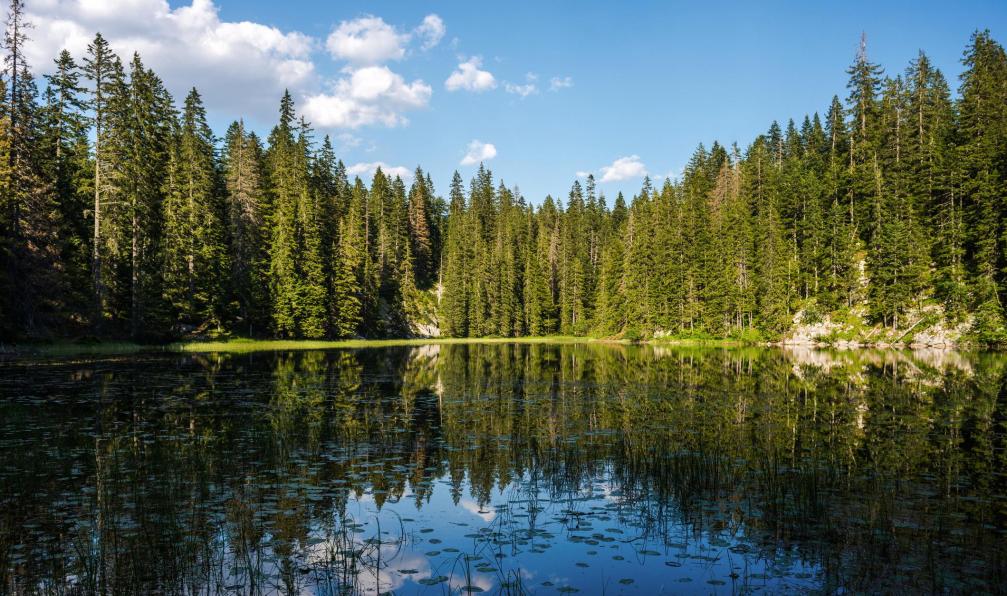 istankov -  istock -  Lac Zminje, Massif du Durmitor, Monténégro - Le Monténégro, des montagnes au fjord de Kotor - 6