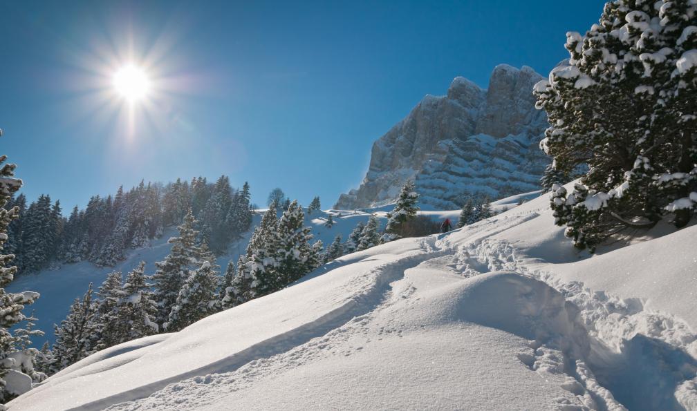 mmac72 -  Istock -  Paysage enneiger du Vercors; France - Réveillon sur les Hauts-Plateaux du Vercors - 1