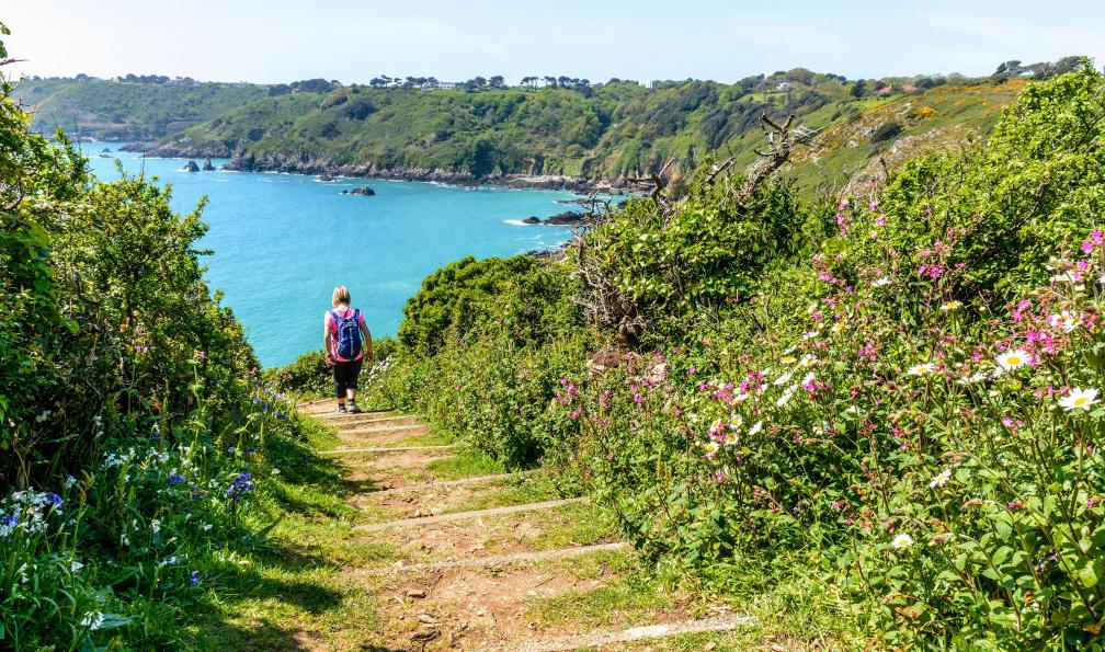 Elke Kohler  -  shutterstock -  Randonnée sur l'île de Guernesey, Angleterre - Les îles Anglo-Normandes - 6
