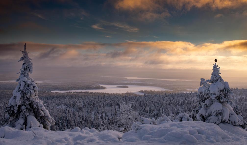 Raschetti - Christophe - Vue sur Valtavaara au lever du jour, Leponie, Finlande - Mon chalet en Laponie - 5