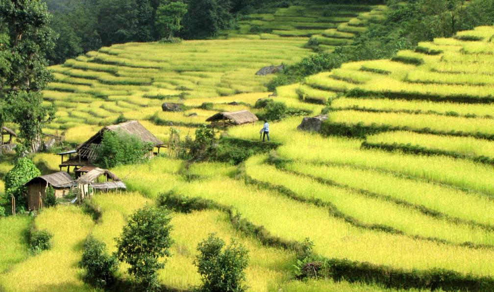 Image Trekking du kangchenjunga (8586 m)