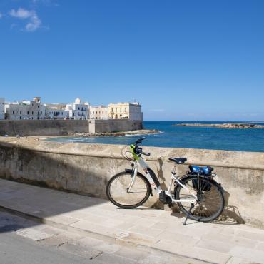 vélo dans les pouilles