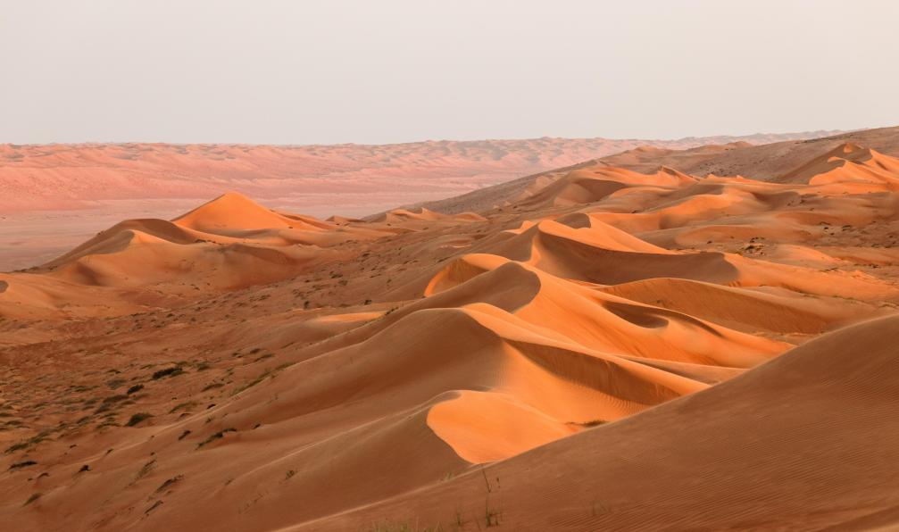 Hollmann - Ulrich - Adobe stock - Le désert de Wahiba Sands, Oman - Le Rub Al Khali et ses dunes infinies - 7
