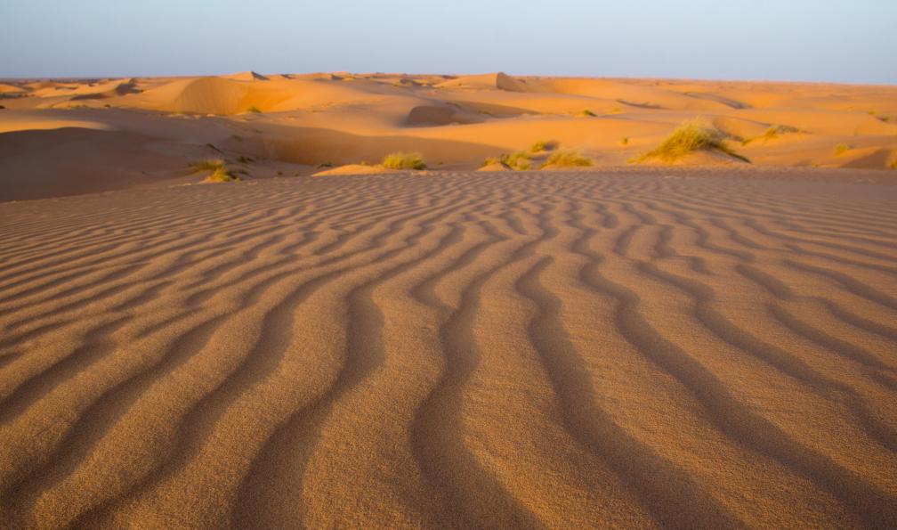 brendanvanson -  Istock -  Vagues de sable sur les dune du désert;Mauritanie - La grande traversée Adrar-Tagant - 2